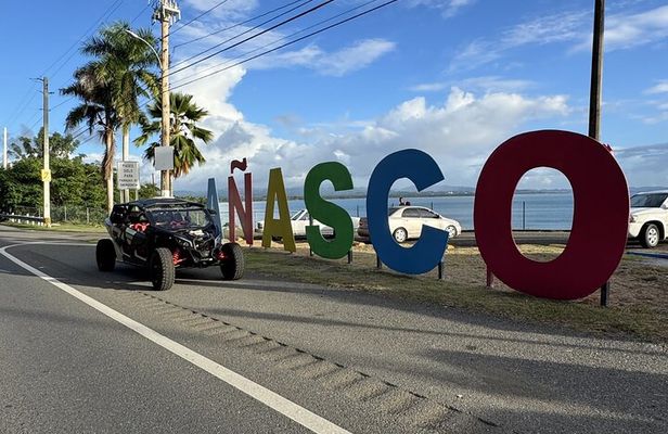 Añasco-Bunny Fever Adventure Experience 
