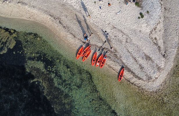 Golfo Aranci Kayak tour with aperitif and dolphin watching