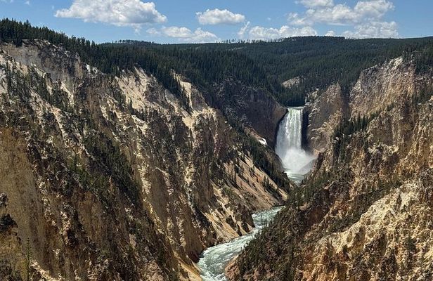 Yellowstone Tour Lower Loop Experience