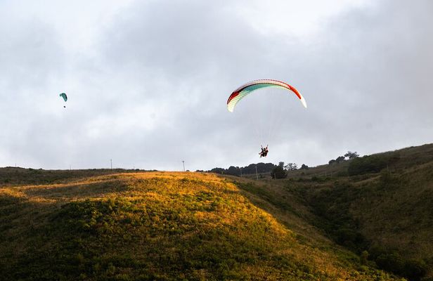 Paragliding flight in Palermo