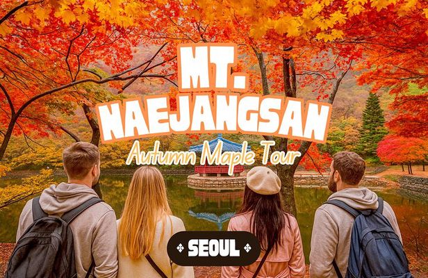 Naejangsan National Park Autumn Foliage One Day Tour from Seoul