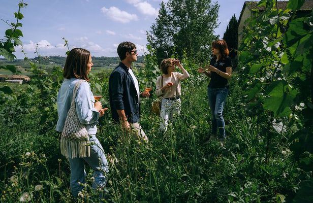 Authentic Piedmont wine tour with a local Sommelier