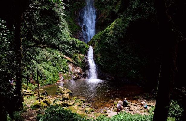 One Day Nyungwe Canopy walkway, Zipline and Ndambarare Waterfall