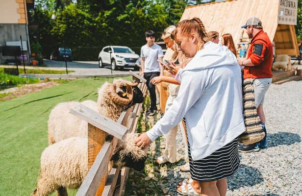 Zakopane Day Trip from Krakow: Thermal Pools & Gubałówka Ride