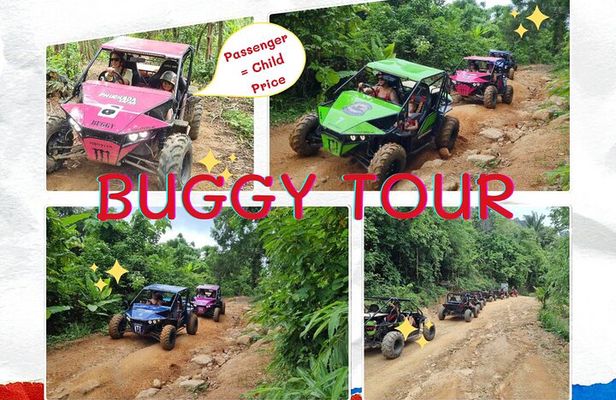 ATV, Buggy, UTV, Zipline