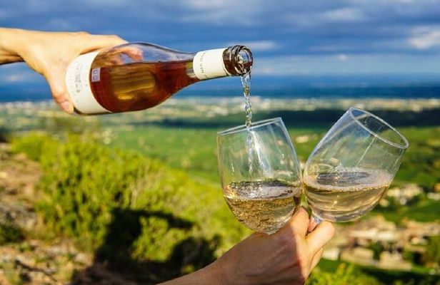 Half Day West Kelowna Wine Tours