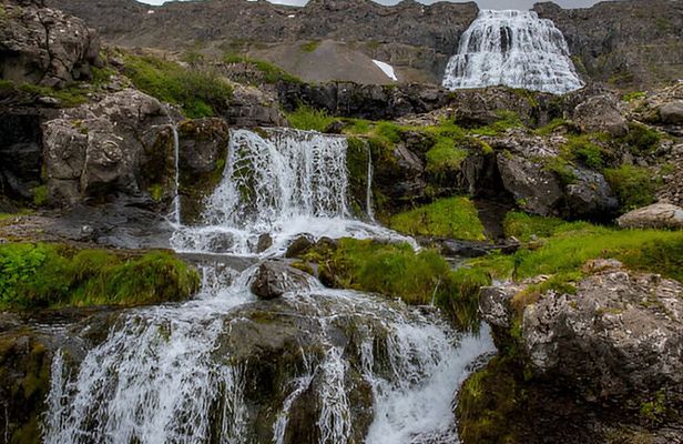 Private Dynjandi Waterfall and Farm Tour: Pickup from Isafjordur