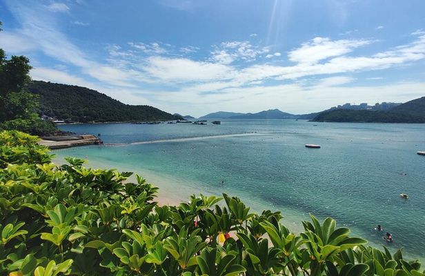Hong Kong｜Hiking and Hidden Nature Gems Tour with Private Driver