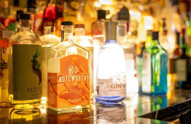 Polish Gin Tasting Tour