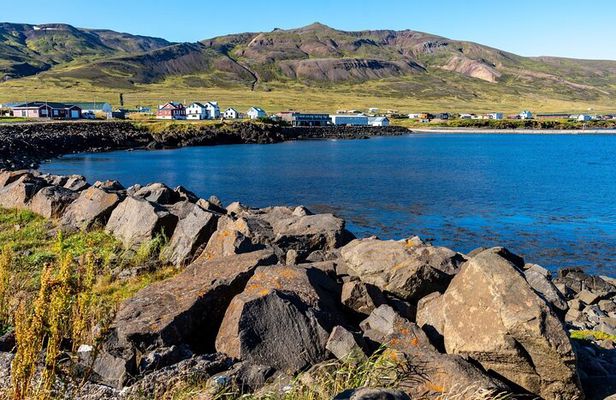 Puffins and Peaks: Explore the Borgarfjörður Eystri