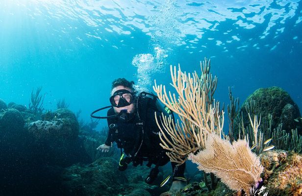 Experience Scuba 