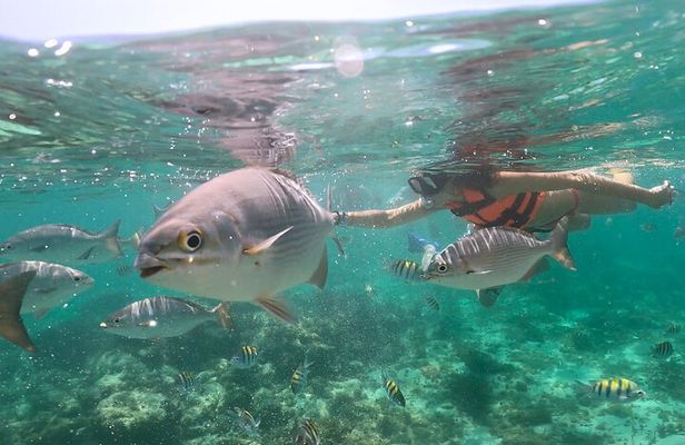 Speed Boat Snorkeling in Cancun with Mayan Ceremony and Tasting
