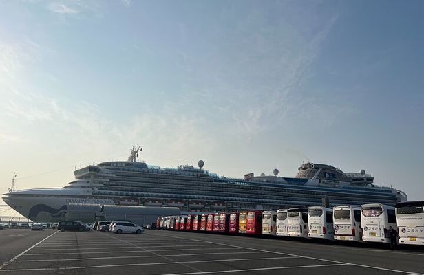 For Busan Cruise Guest highlight Day tour