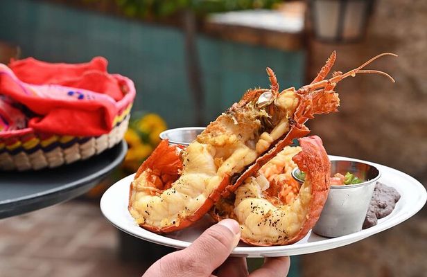 Paragliding Rosarito & Port new lobster/portals/charm