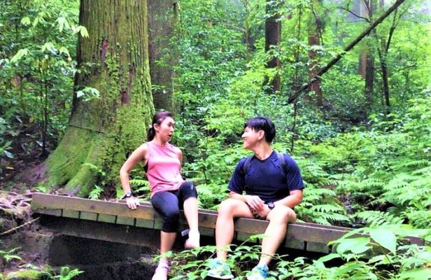 Experience Tokyoites Vacation: Hike, Sightsee, Onsen & Local Food