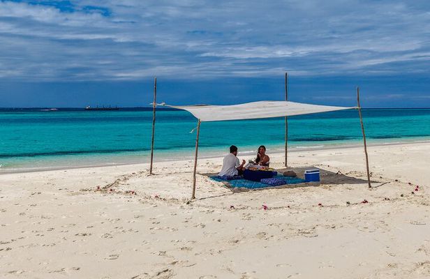 Private - Hidden Beautiful Sandbank with Seafood Lunch