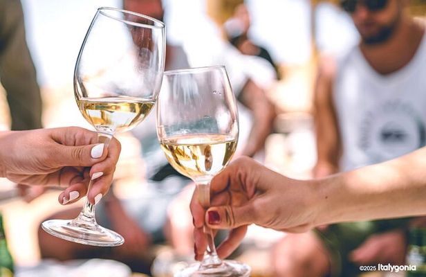 TRANI Wine Tours: Flavors of Puglia