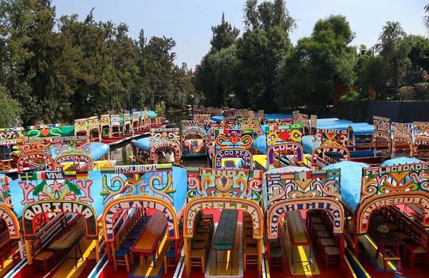 Private or Shared Tour Xochimilco Coyoacán and Frida Kahlo Museum