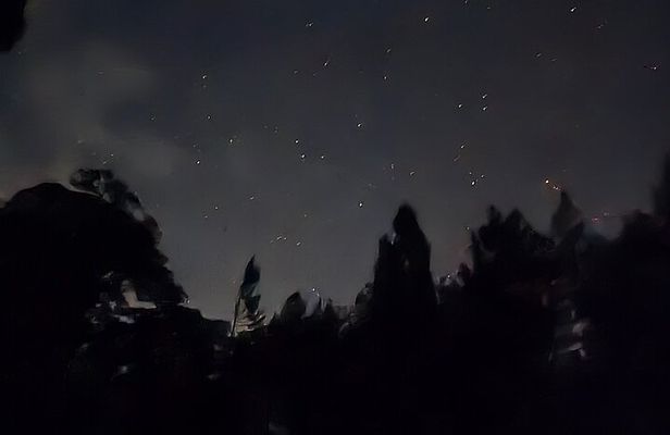 Monteverde Tropical Forest night tour