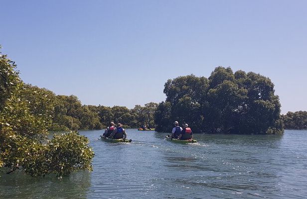 Guided Kayak Adventure Tour 3hrs options please check the website