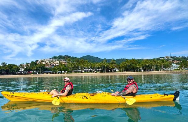 Half Day Kayak Turtle Tour