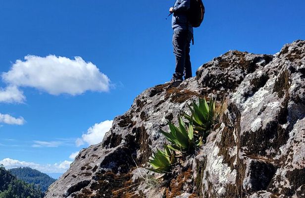 Cuajimoloyas Private Hiking Bushwalking Oaxaca Adventure