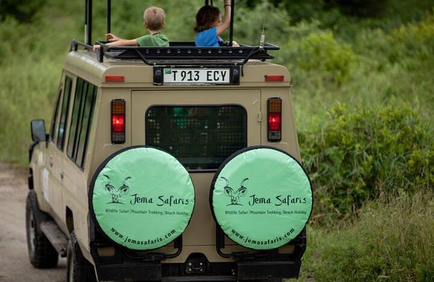 3 Days Group Joining Serengeti and Ngorongoro Safari from Arusha