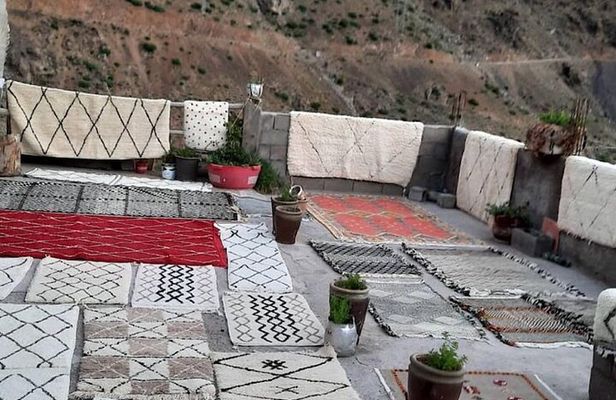 Rug Art Atlas, Camel Experience & Tea from Marrakech