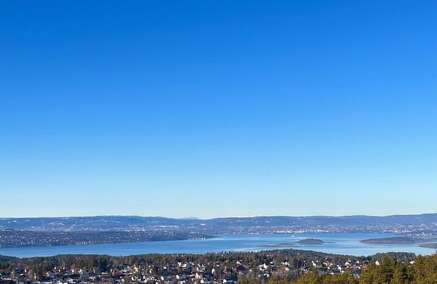 Oslo: Panoramic Fjord Hike Lead by a Local Guide and Dog
