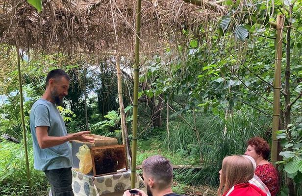Honey story and Mtirala forest (From Batumi)
