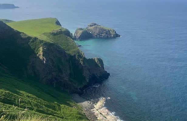 Giant’s Causeway & Antrim Coast Private Tour from Belfast
