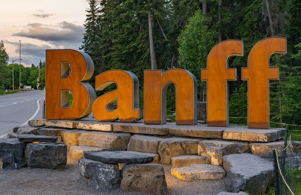 Explore Banff + Wildlife