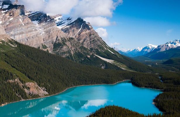 Icefields Parkway Experience