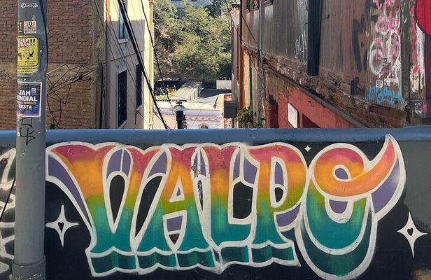 Private Valparaiso Wine and Tasting Tour 