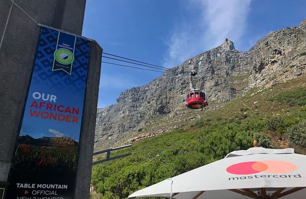 Cape Town Table Mountain, Kirstenbosch, and Constantia Tour
