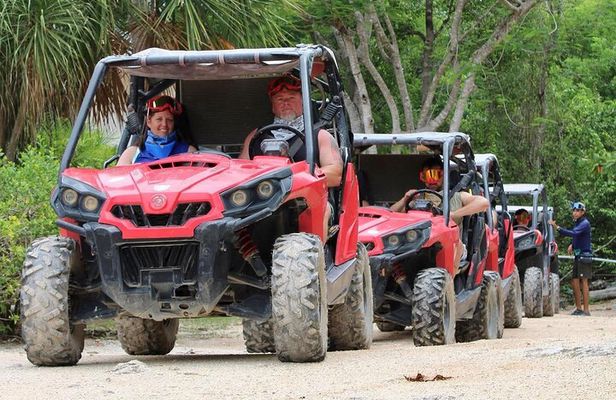 Jungle Buggy Day Tour