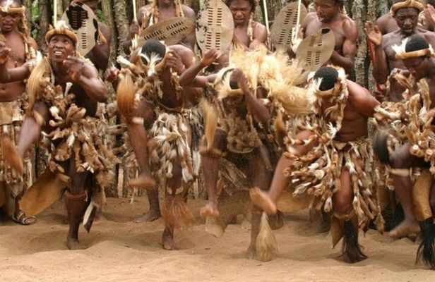 Tala Game Reserve Natal Lion Park and Phezulu Safari Park Tour