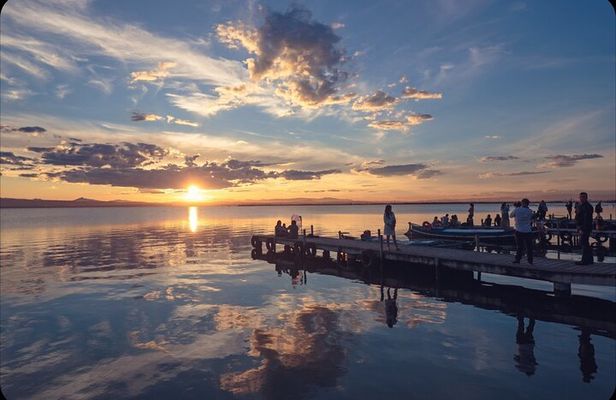 Bike Adventure from Valencia to Albufera Wetlands and Beaches