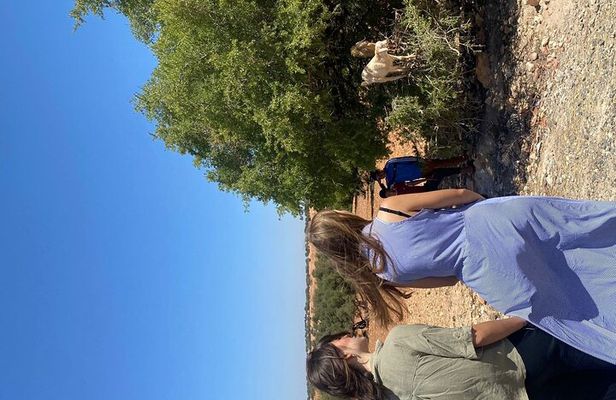 Private Marrakech Day Trip to Essaouira