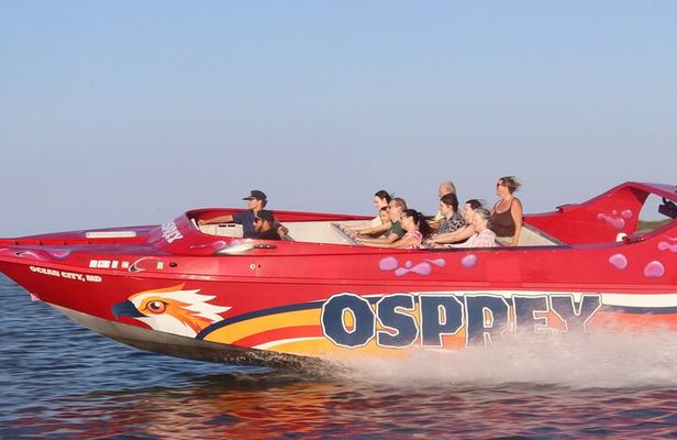 Osprey: A Unique Jet Boat Experience