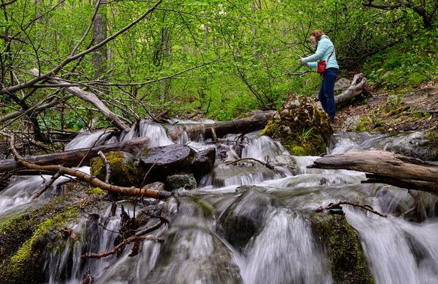Turnagain Arm Highlights Photo Tour