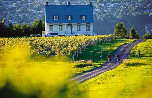 Quebec Half Day Tour by Car with Certified Guide