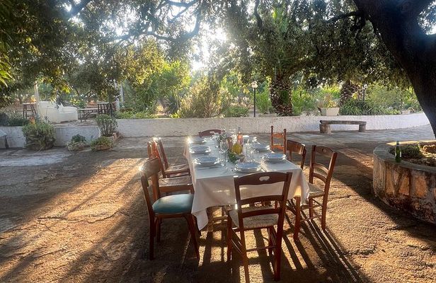 Orecchiette Cooking Class And 3 Courses Dinner