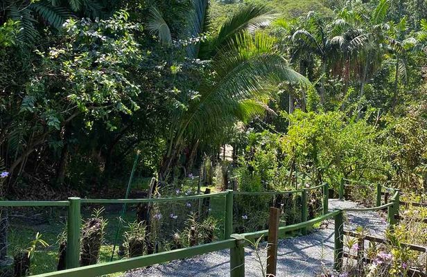 Half Day Tour in Nadi 