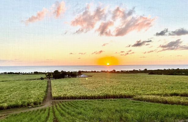 Farm to Bottle Tour at Prosperity Farm Distillery