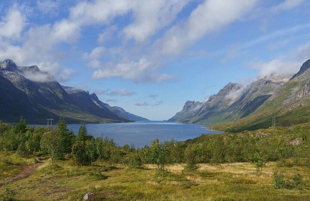 Express Fjord Road trip with Cruise Ship Pick up and Drop off