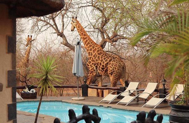3 Day African Rock Lodge Safari in Kruger National Park