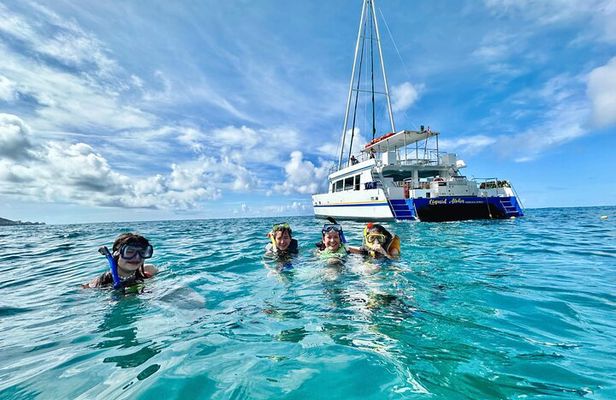 Waikiki Snorkel Adventure and Ocean Playground
