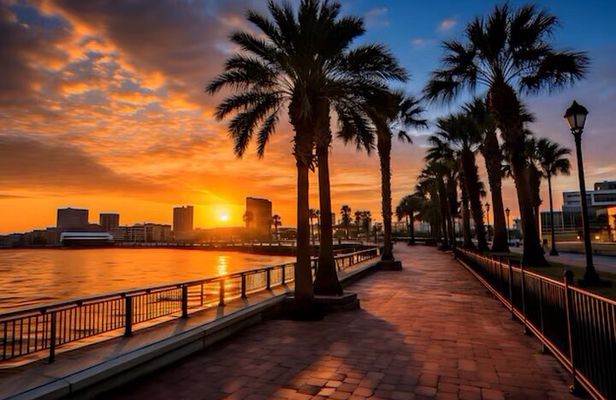 Tampa Riverwalk Street Food by the Bay 3 Hour Walking Food Tour