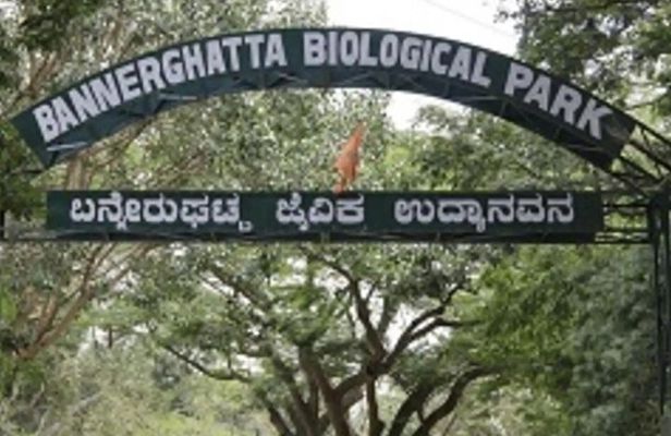 From Bangalore Bannerghatta Park and City Sights Private Tour